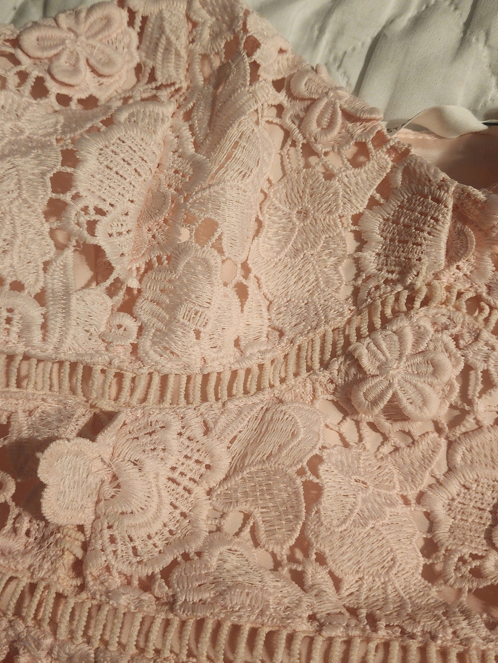 Altar'd State Blush Pink Lace Appliqué Mini Dress - Picture 3 of 7